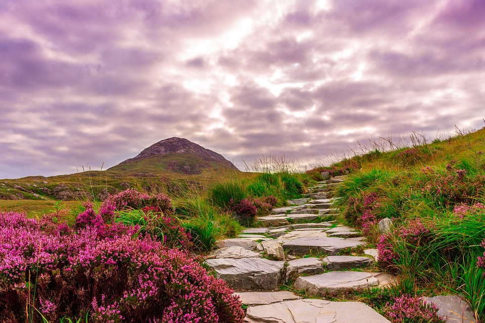 Estudiar inglés en Irlanda el exitoso sistema educativo irlandés